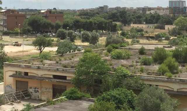 Bari, il misterioso edificio in rovina che tutti chiamano 